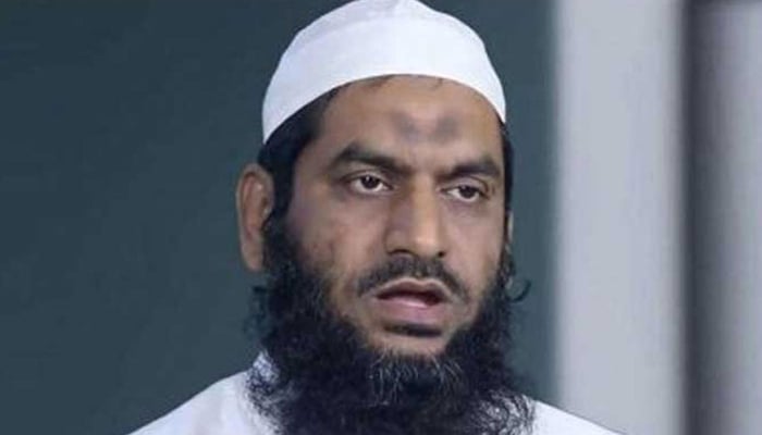 আরও ৩ মামলায় মামুনুল হকের জামিন