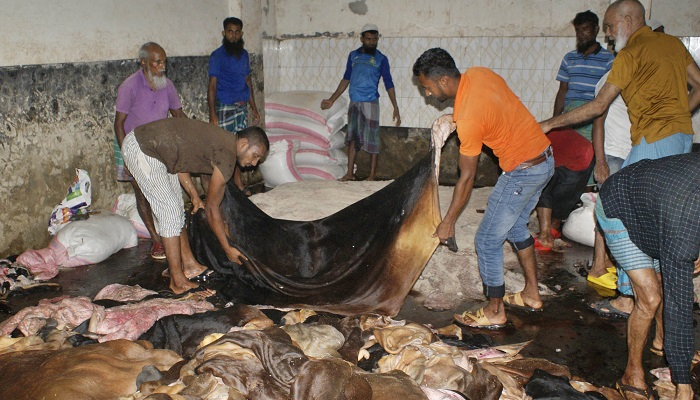 ট্যানারিতে ১১০০ টাকা, মৌসুমী ব্যবসায়ীরা দিচ্ছেন অর্ধেকেরও কম