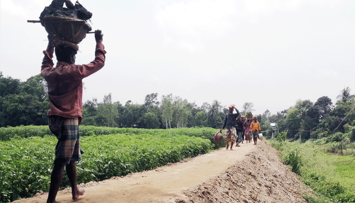 স্বেচ্ছাশ্রমে কবরস্থানে যাওয়ার সড়ক নির্মাণ