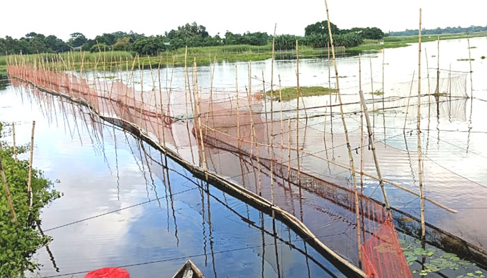 বিলে বাঁধ দিয়ে মাছ শিকার, নৌযান চলাচল বন্ধ