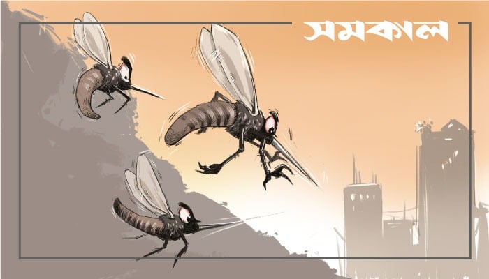 ফুটপাতের খাবার হোটেলের ফেলা পানিতেও জন্মাচ্ছে মশা