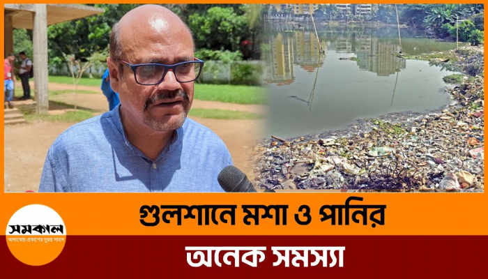 গুলশানে মশা ও পানির অনেক সমস্যা: জালাল ইউনুস