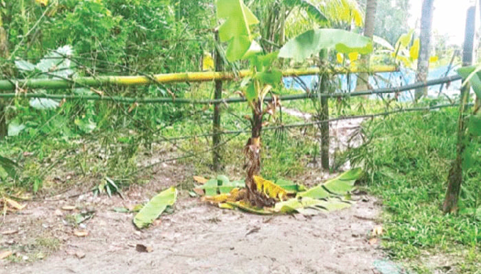 রাস্তায় বেড়া, অবরুদ্ধ চার পরিবার