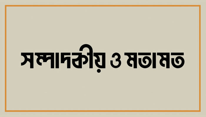 তারল্য সংকট লক্ষণ মাত্র