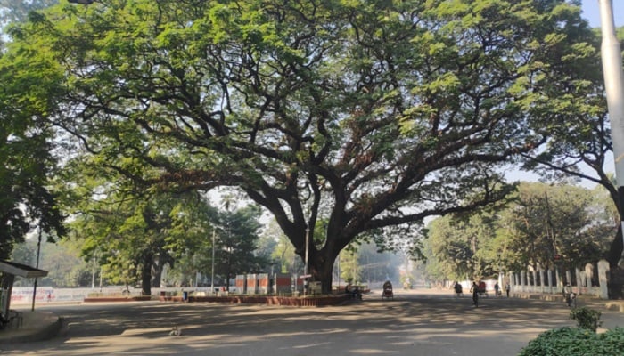 ঢাবি ক্যাম্পাসে বন কর্মচারীকে পিটিয়ে হত্যার অভিযোগ