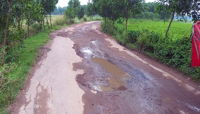 অর্ধশতাধিক সড়কে বন্যার ক্ষত, জনদুর্ভোগ