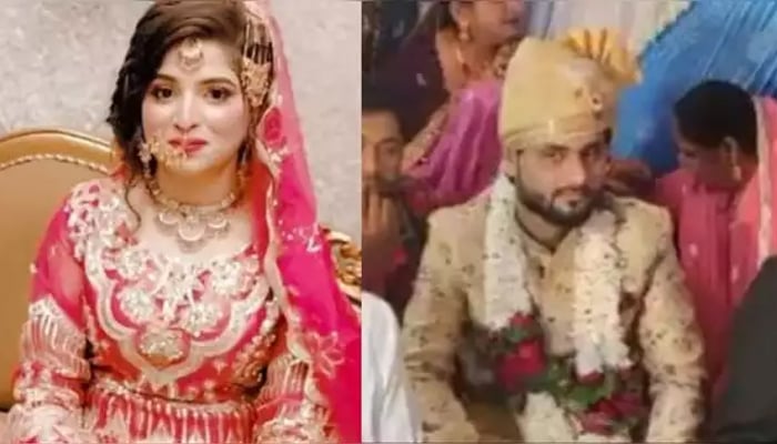 ভিসা না পেয়ে ভারতীয় যুবককে অনলাইনে বিয়ে করলেন পাকিস্তানি তরুণী
