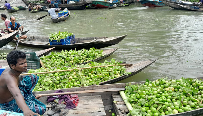 ২৫ কোটি টাকার পেয়ারা বেচাকেনা