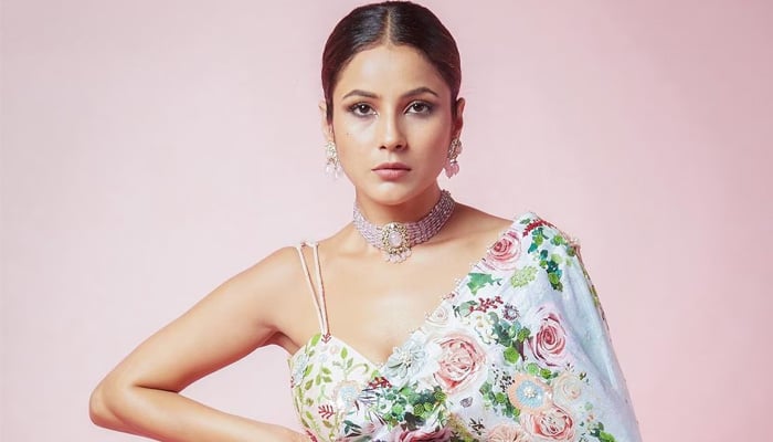 সিনেমার প্রচার অনুষ্ঠানে অসুস্থ, হাসপাতালে শেহনাজ গিল