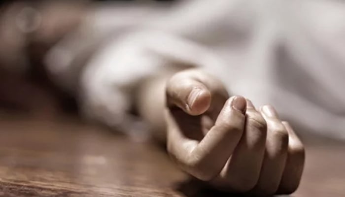 রাজধানীতে ছুরিকাঘাতে রিকশাচালক নিহত