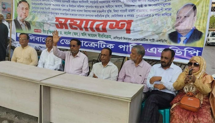 অক্টোবরের পর সরকার সুযোগ হারাতে পারে: অলি আহমদ